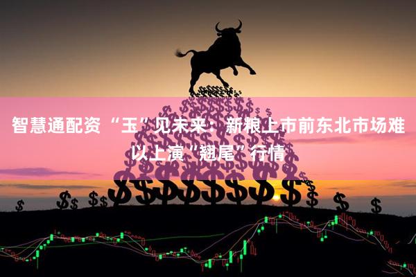 智慧通配资 “玉”见未来：新粮上市前东北市场难以上演“翘尾”行情