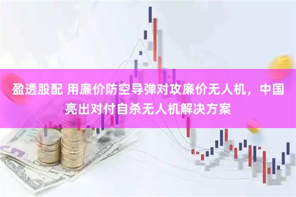 盈透股配 用廉价防空导弹对攻廉价无人机，中国亮出对付自杀无人机解决方案
